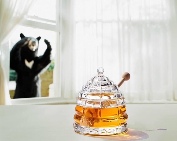 Glass Honey Jar with Lid and Container - Image 5